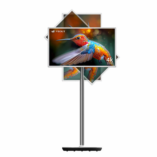 Portable Smart TV
